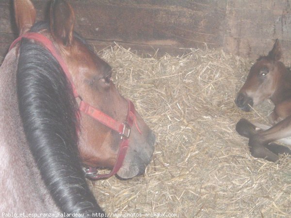 Photo de Races diffrentes