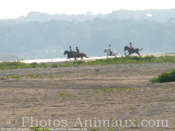 Photo de Races diffrentes