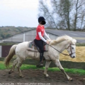 Photo de Camargue