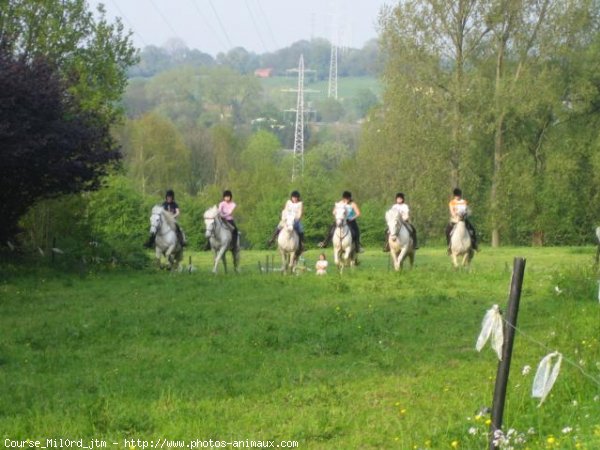 Photo de Camargue