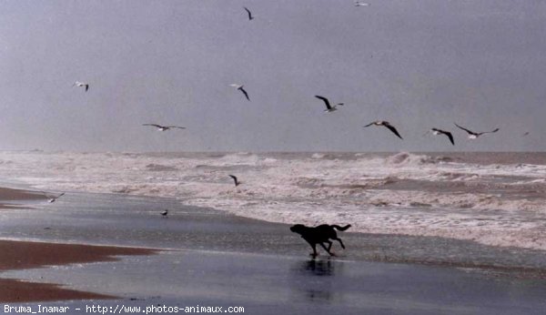 Photo de Croisement