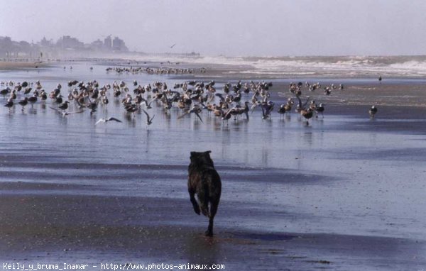 Photo de Croisement