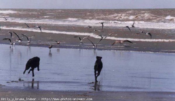 Photo de Croisement