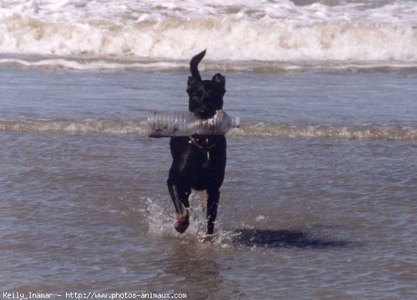 Photo de Croisement