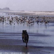 Photo de Croisement