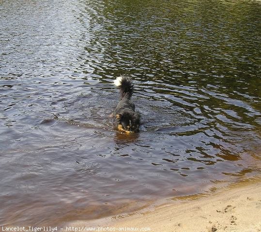 Photo de Croisement