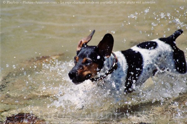 Photo de Croisement