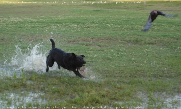 Photo de Croisement