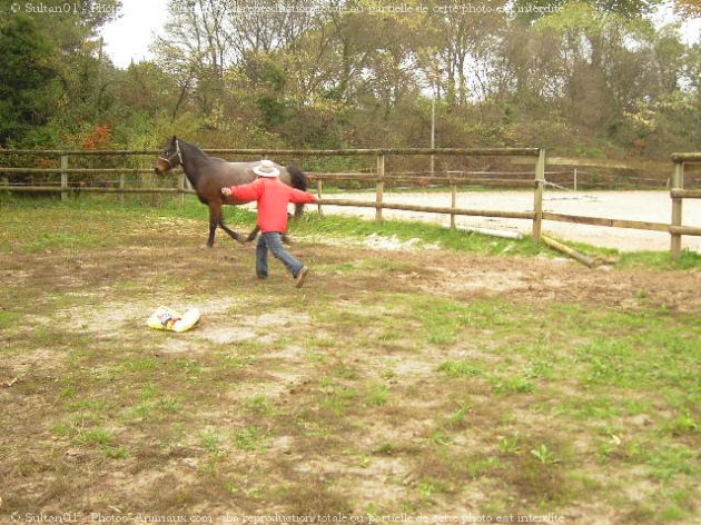 Photo de Races diffrentes