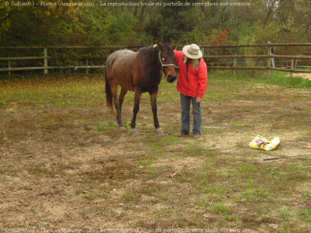 Photo de Races diffrentes