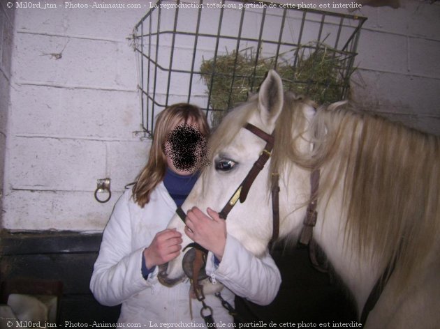 Photo de Camargue