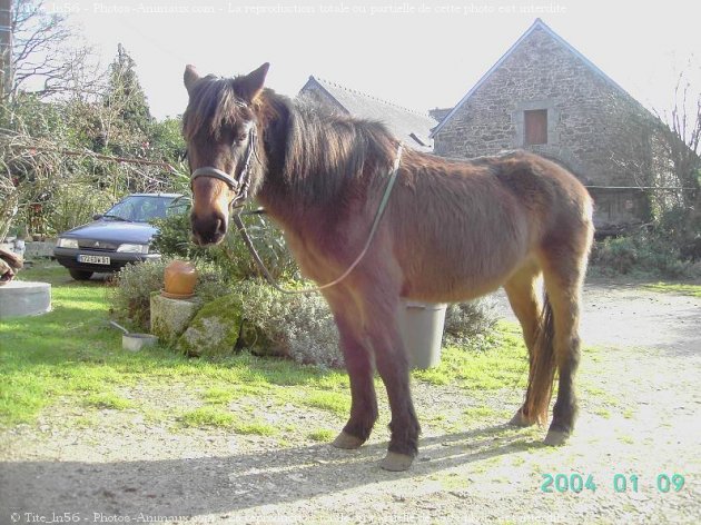 Photo de Croisement