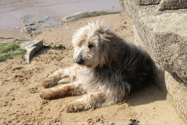 Photo de Croisement