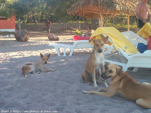 Photo de Croisement