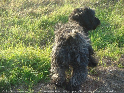 Photo de Croisement