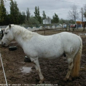 Photo de Camargue