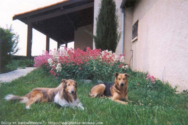 Photo de Races diffrentes