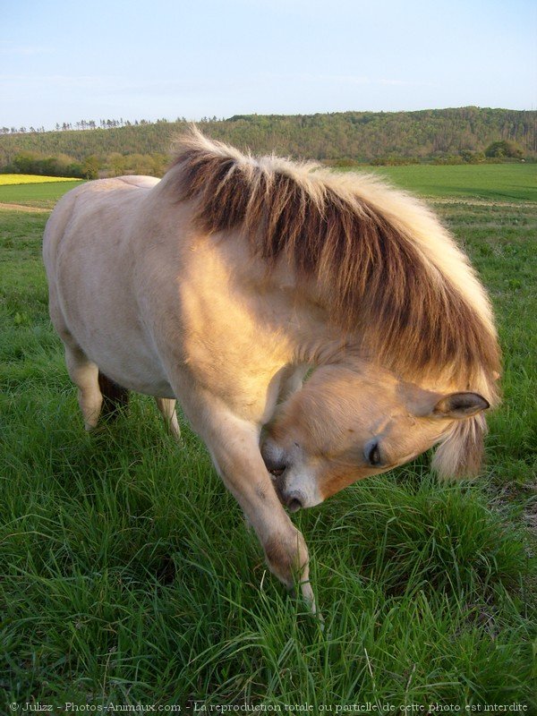 Photo de Fjord