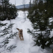 Photo de Races diffrentes