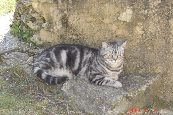 Photo de Croisement