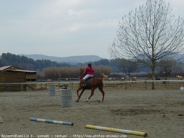 Photo de Croisement