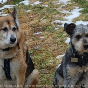 Photo de Races diffrentes