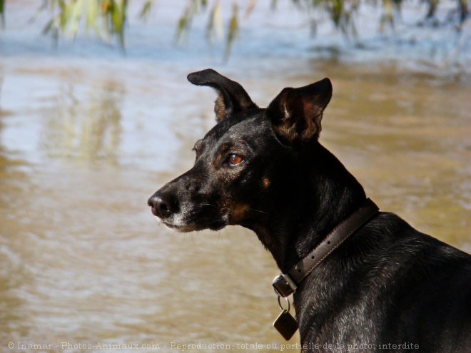 Photo de Croisement