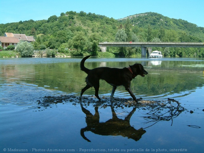 Photo de Croisement