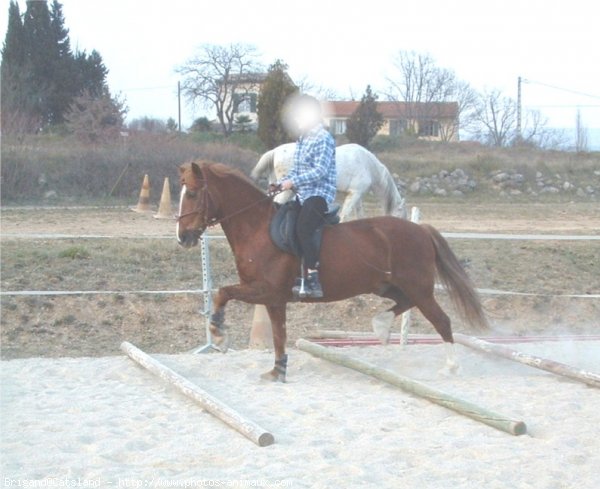 Photo de Croisement