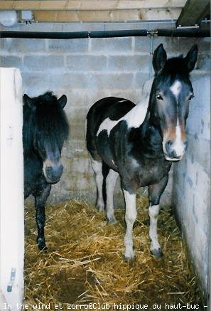 Photo de Races diffrentes