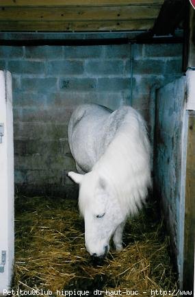 Photo de Camargue