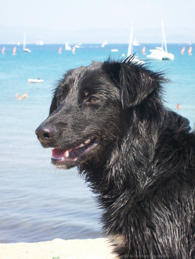 Photo de Croisement