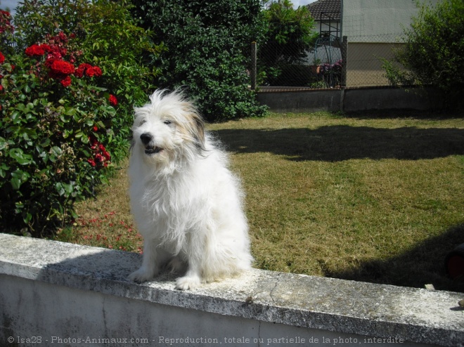 Photo de Croisement