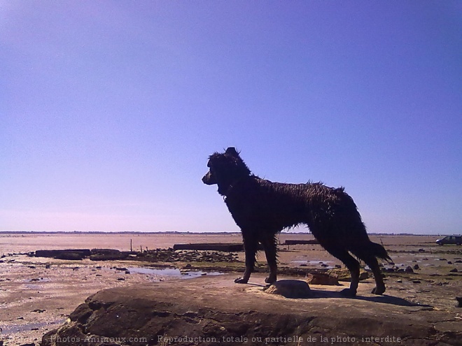 Photo de Croisement