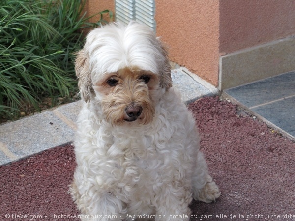 Photo de Croisement