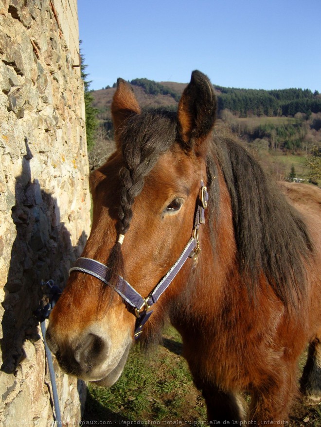 Photo d'Auxois