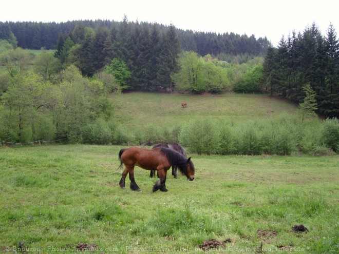 Photo d'Auxois