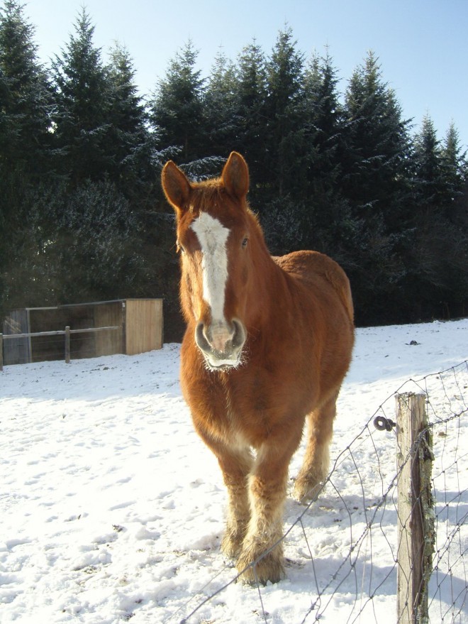 Photo d'Auxois