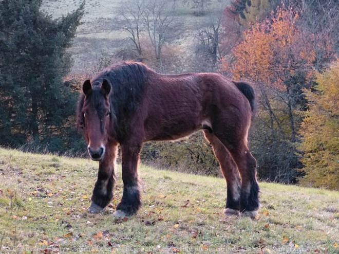 Photo d'Auxois