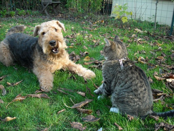 Photo de Races diffrentes