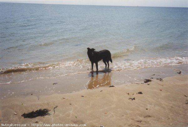 Photo de Croisement