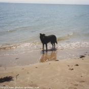 Photo de Croisement