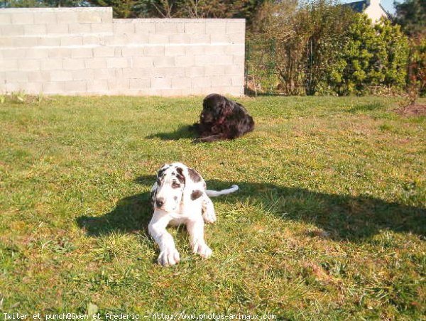 Photo de Races diffrentes