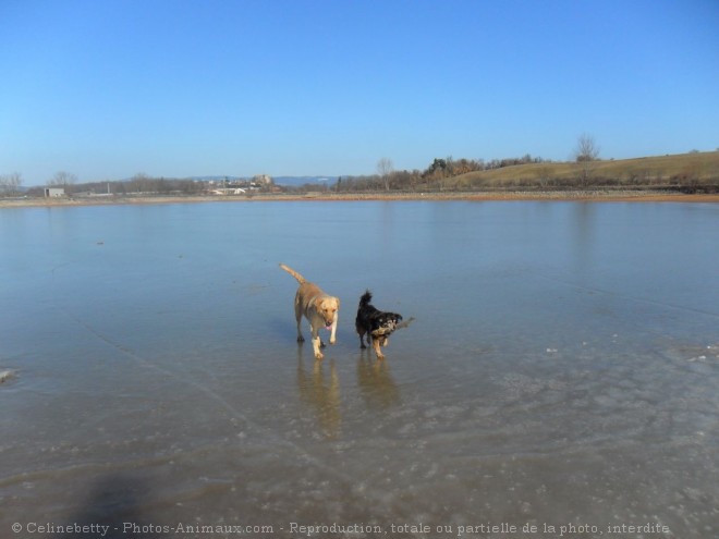 Photo de Croisement