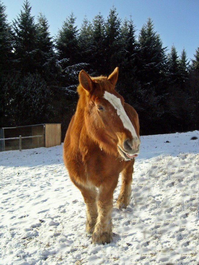 Photo d'Auxois