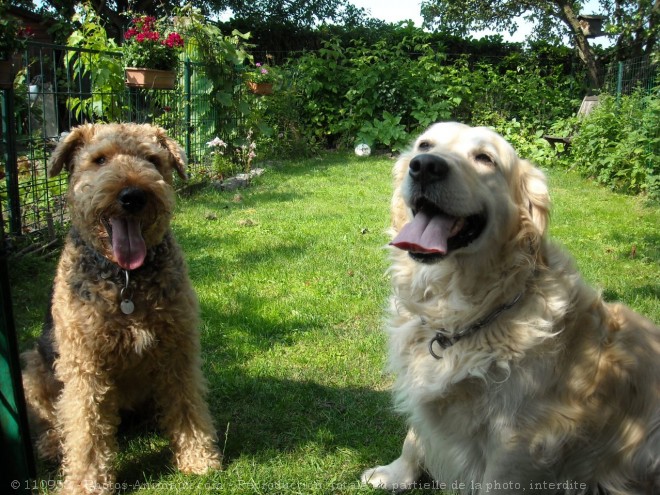 Photo de Races diffrentes