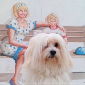 Photo de Coton de tulear