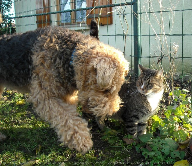 Photo de Races diffrentes