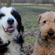 Photo de Races diffrentes