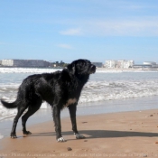 Photo de Croisement